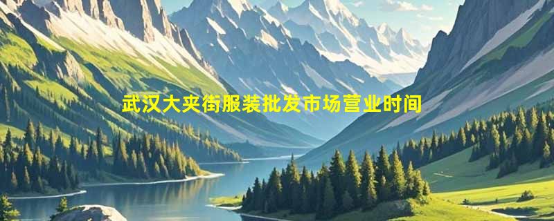 武汉大夹街服装批发市场营业时间是几点