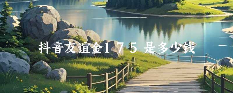 抖音友谊金175是多少钱