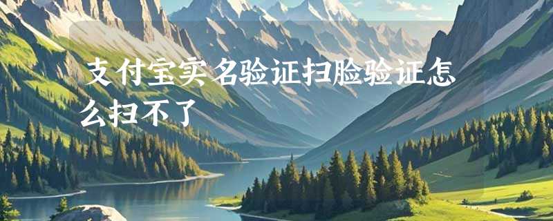 支付宝实名验证扫脸验证怎么扫不了