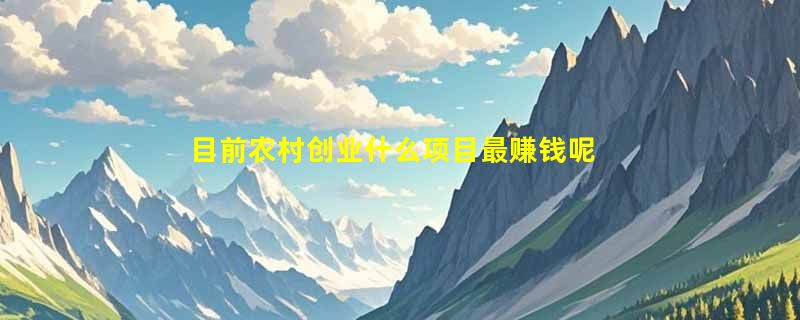 目前农村创业什么项目最赚钱呢