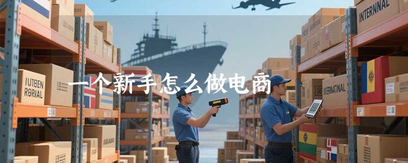 一个新手怎么做电商