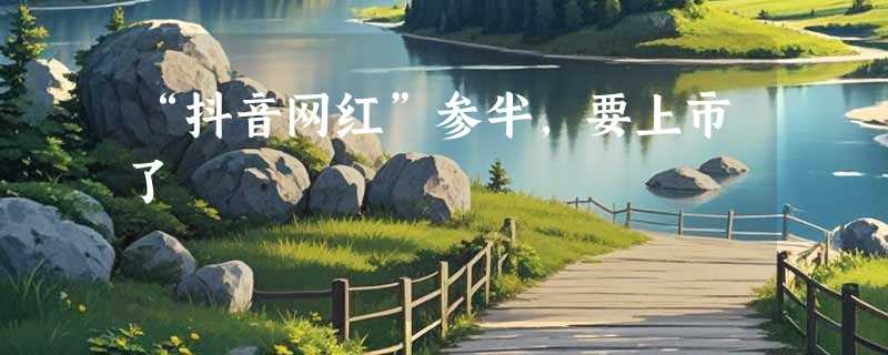 “抖音网红”参半，要上市了