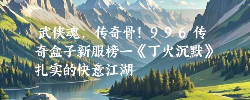 武侠魂，传奇骨！996传奇盒子新服榜一《丁火沉默》扎实的快意江湖