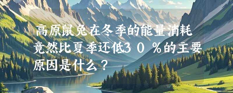 高原鼠兔在冬季的能量消耗竟然比夏季还低30％的主要原因是什么？