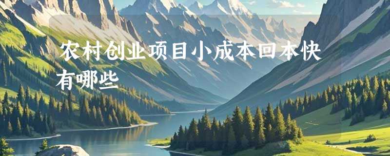 农村创业项目小成本回本快有哪些