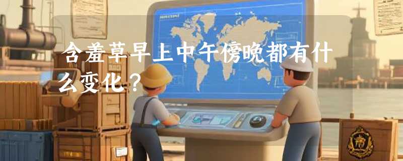 含羞草早上中午傍晚都有什么变化？