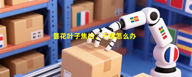 昙花叶子焦枯、干瘪怎么办