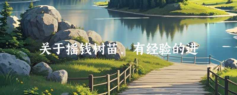 关于摇钱树苗.有经验的进