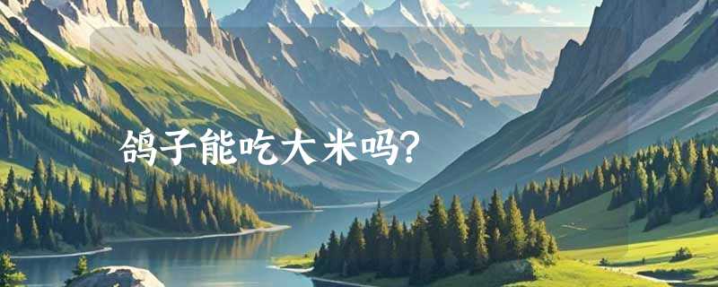 鸽子能吃大米吗?