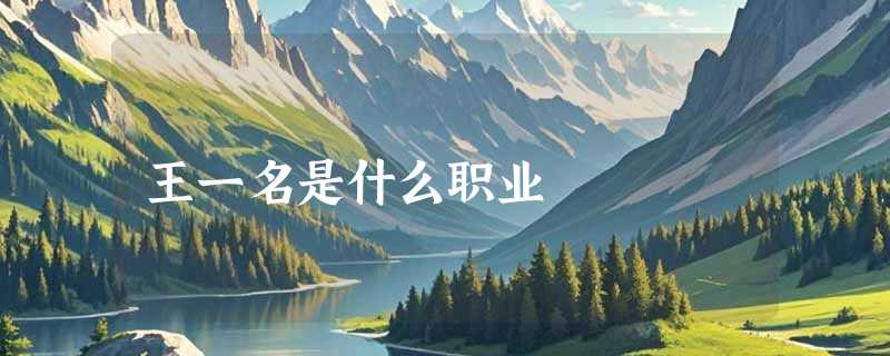 王一名是什么职业