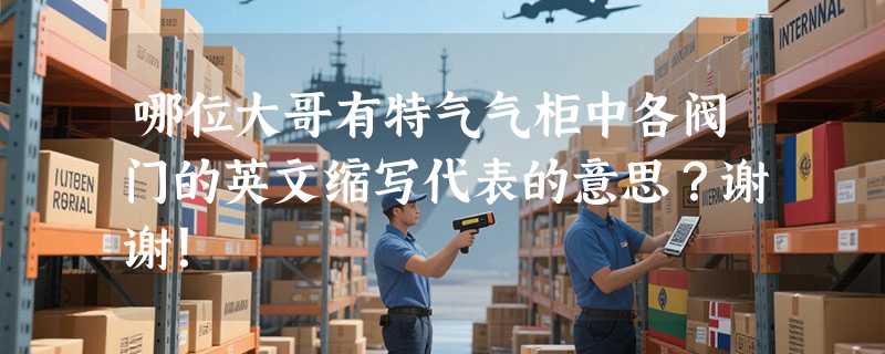 哪位大哥有特气气柜中各阀门的英文缩写代表的意思?谢谢!