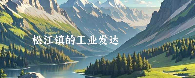 松江镇的工业发达