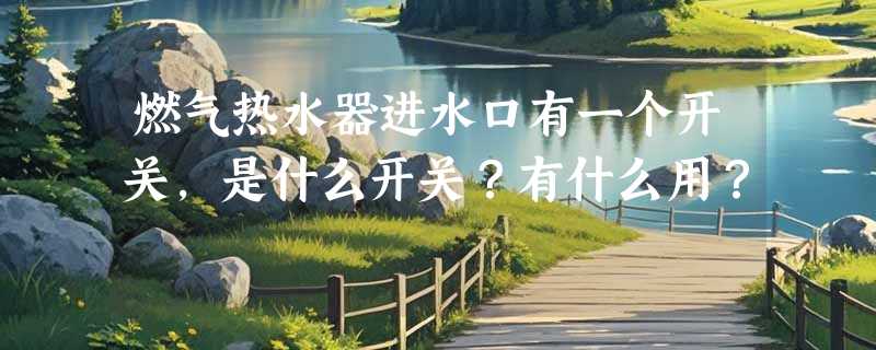 燃气热水器进水口有一个开关，是什么开关？有什么用？