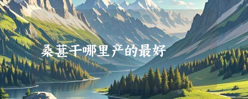 桑葚干哪里产的最好