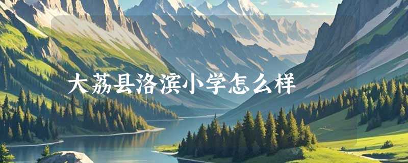 大荔县洛滨小学怎么样