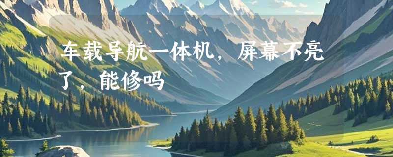 车载导航一体机,屏幕不亮了,能修吗