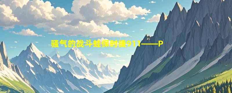 骚气的战斗蛙保时捷911——Porsche