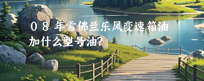 08年雪佛兰乐风变速箱油加什么型号油?