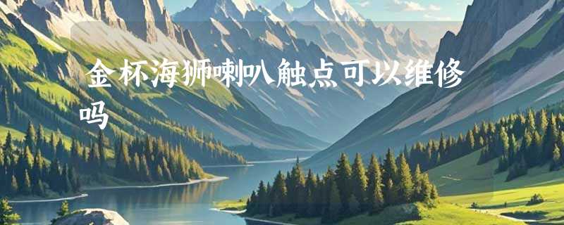 金杯海狮喇叭触点可以维修吗