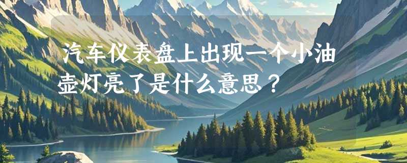 汽车仪表盘上出现一个小油壶灯亮了是什么意思？