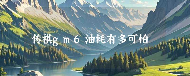 传祺gm6油耗有多可怕