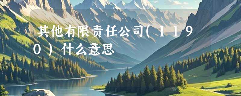 其他有限责任公司(1190)什么意思