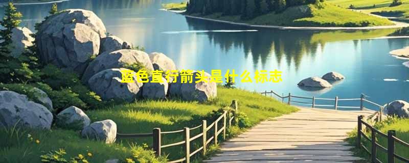 蓝色直行箭头是什么标志