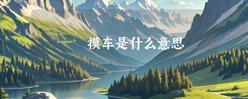 摸车是什么意思