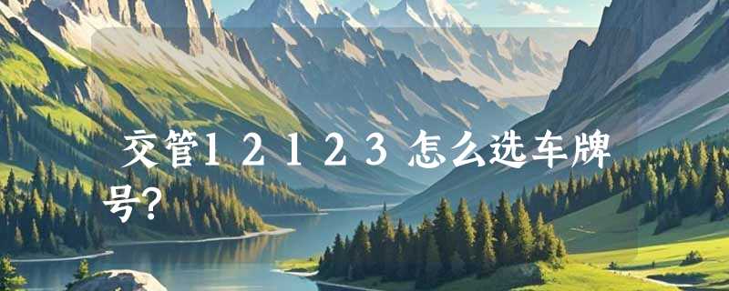 交管12123怎么选车牌号?