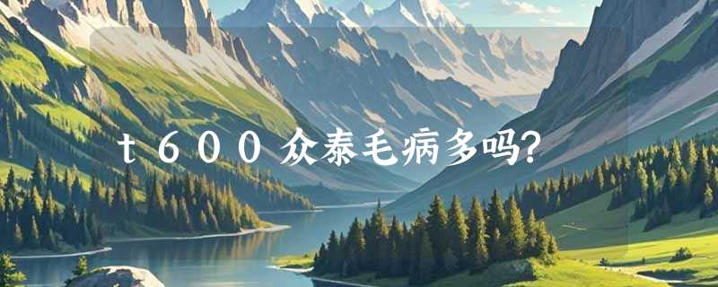 t600众泰毛病多吗?