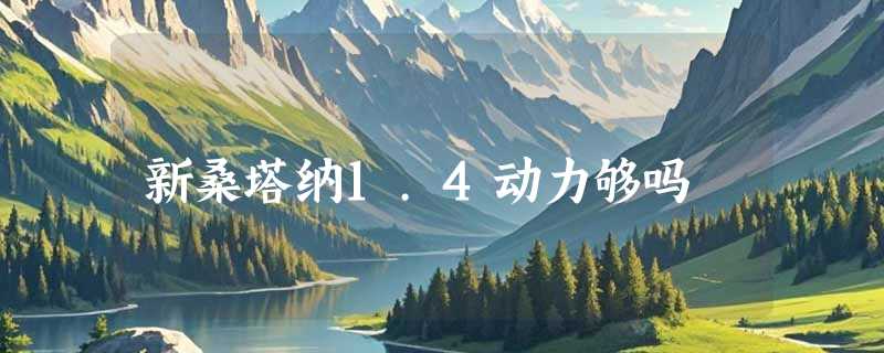 新桑塔纳1.4动力够吗