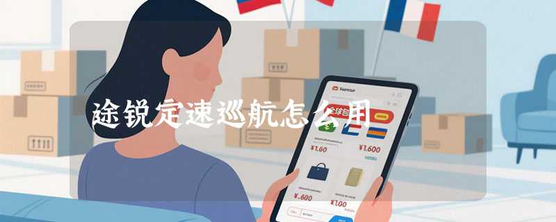 途锐定速巡航怎么用