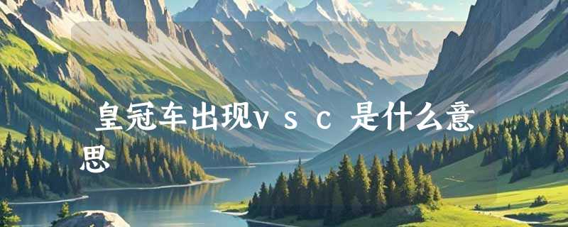 皇冠车出现vsc是什么意思