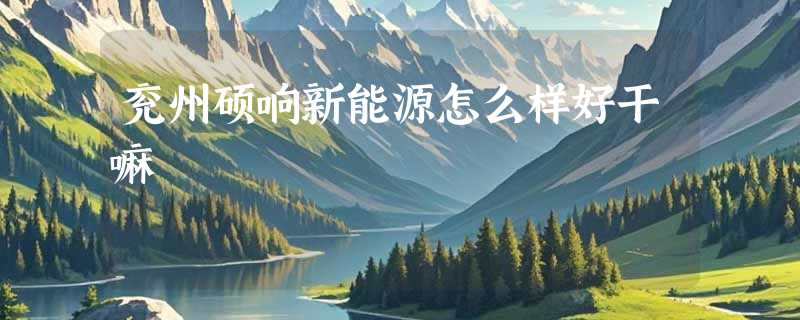 兖州硕响新能源怎么样好干嘛