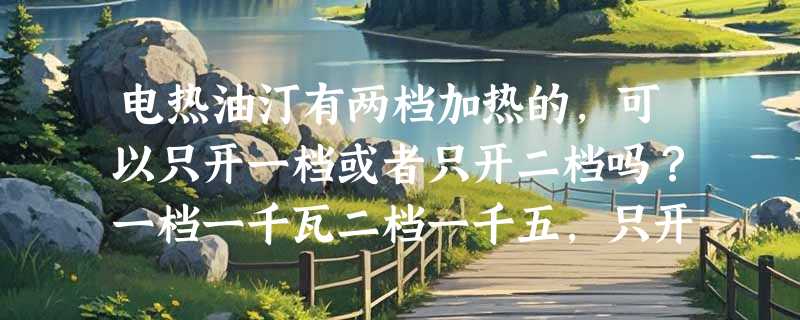 电热油汀有两档加热的，可以只开一档或者只开二档吗？一档一千瓦二档一千五，只开一个省电吗？