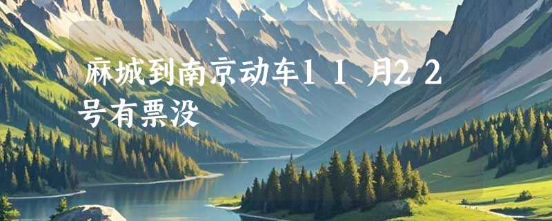 麻城到南京动车11月22号有票没
