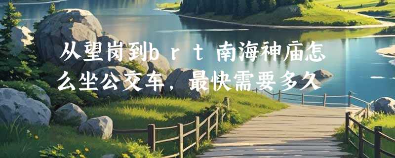 从望岗到brt南海神庙怎么坐公交车，最快需要多久