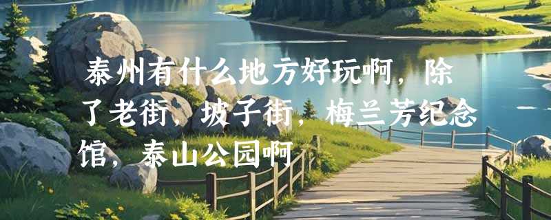 泰州有什么地方好玩啊,除了老街,坡子街,梅兰芳纪念馆,泰山公园啊