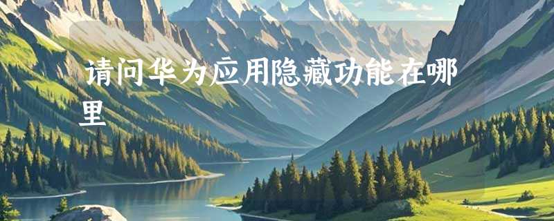请问华为应用隐藏功能在哪里