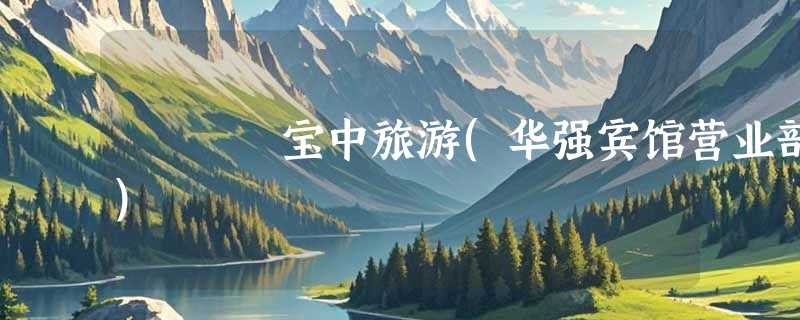宝中旅游(华强宾馆营业部)