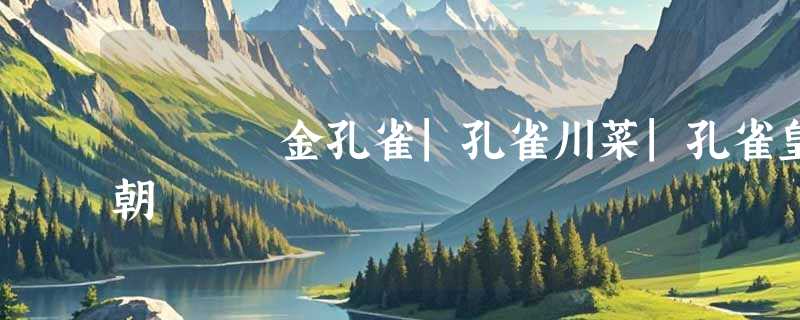 金孔雀|孔雀川菜|孔雀皇朝