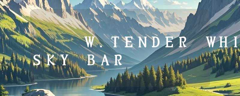 W.TENDER WHISKY BAR