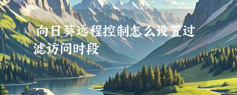 向日葵远程控制怎么设置过滤访问时段