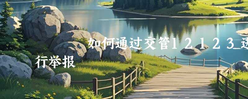 如何通过交管12123进行举报