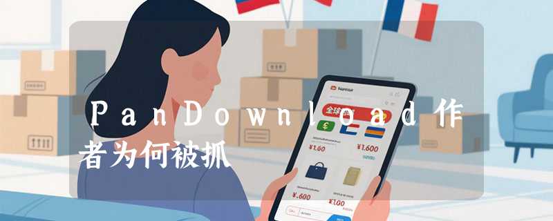 PanDownload作者为何被抓
