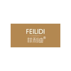 菲利迪